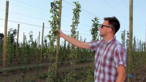 Young Grower’s Apple Training Shows Innovation and Investment
