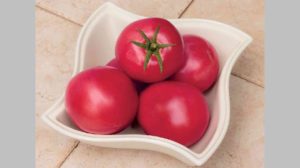 Pink-A-Licious from Rupp Seeds