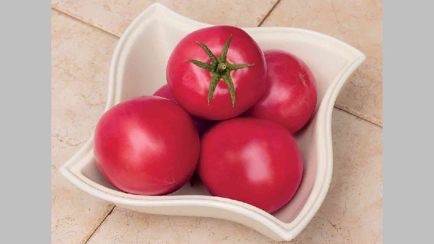 Pink-A-Licious from Rupp Seeds