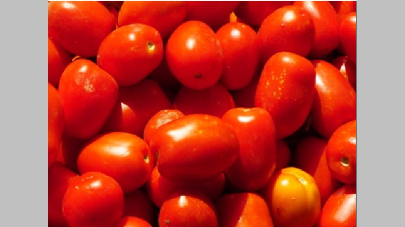 SVTM1082 from Seminis