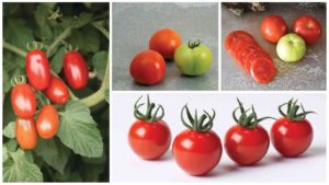 10 Tomato Varieties You Need to Check Out [Slideshow]