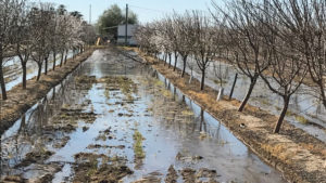 Why Compromise Should Not Be a Dirty Word for Farmers