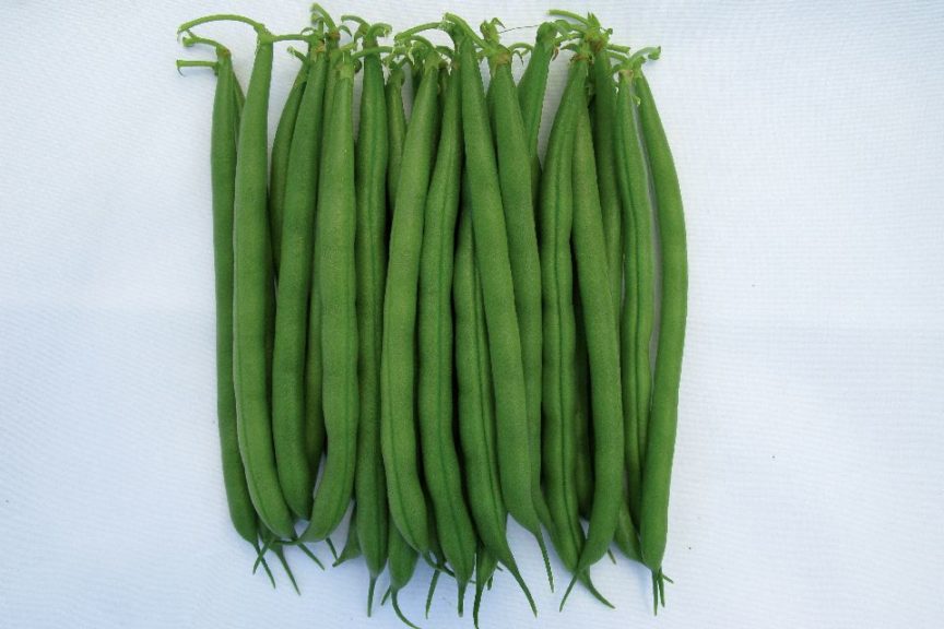 Affirmed from Seminis Vegetable Seeds and Stokes Seed