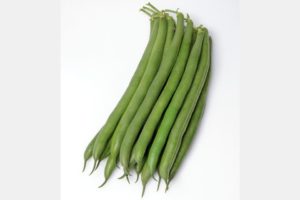 PV-857 from Siegers Seed Company and Seedway