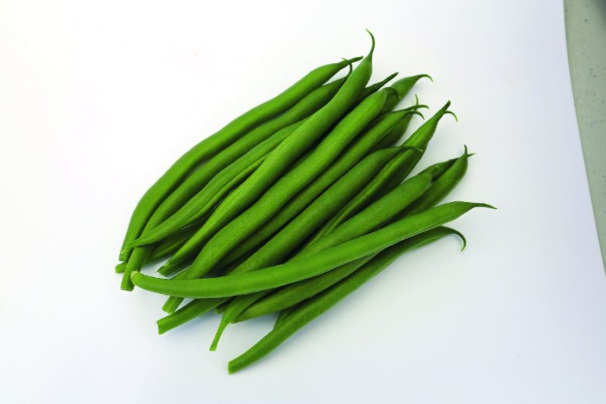 Sybaris from Rupp Seeds