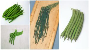 8 Bean Varieties You’ll Want to Grow
