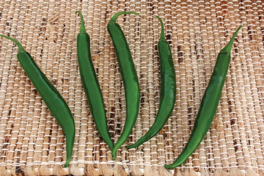Crackle from Stokes Seeds