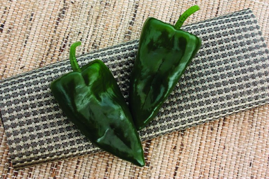 Trident from Rupp Seeds