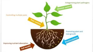 The What, When, and Why of Using Microbials on Your Farm