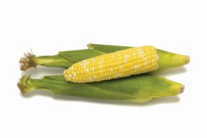 Affection from Seminis