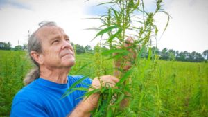 Will it Fly? Senate-Backed Farm Bill Makes Way for Hemp Growth