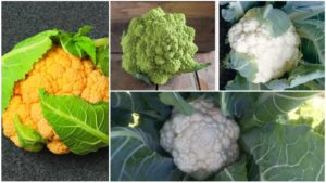 11 Cauliflower Varieties You’ll Want to Grow