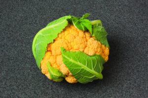 Flame Star from Syngenta and Johnny’s Selected Seeds