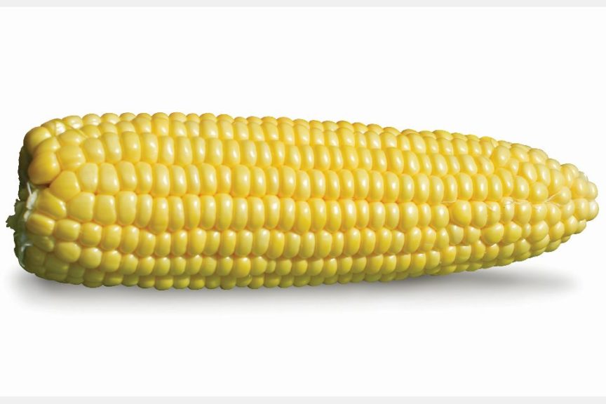 Jubilation from Seminis