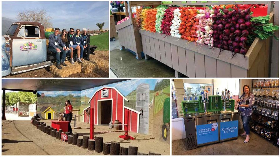 10 Ideas You Can Steal from California Farm Markets