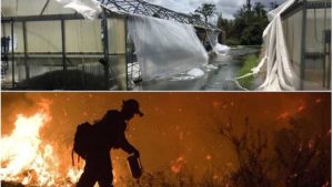 USDA Set to Whip up $2.36 Billion in Natural Disaster Aid
