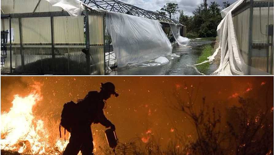 USDA Set to Whip up $2.36 Billion in Natural Disaster Aid