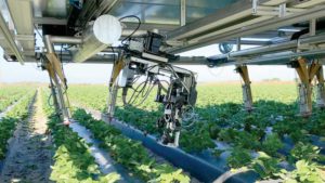 Will We Pay Farm Robots by the Hour? [Opinion]
