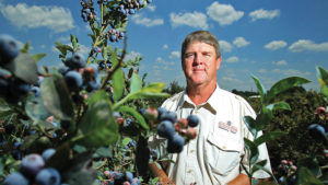 How PGRs Rescue Berries After Spring Freeze