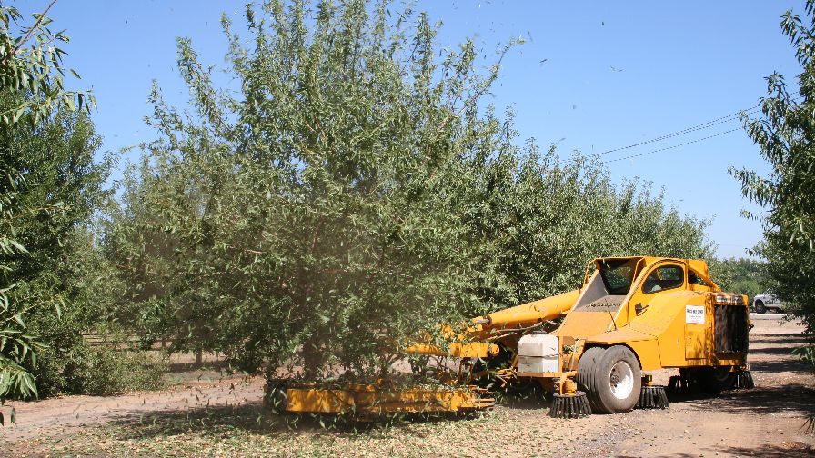 Why the Almond Industry Is on the Edge of a Revolution