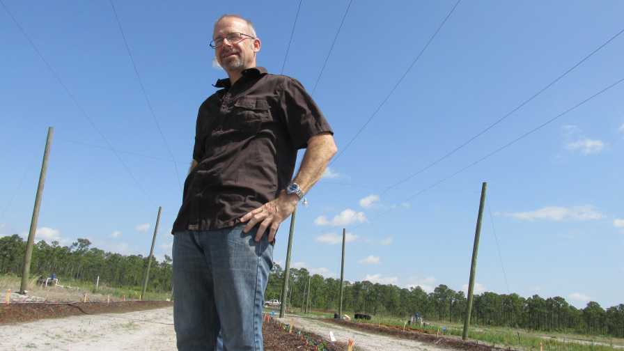USDA Reaches Milestone in Florida Hops Research