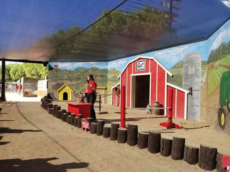 Bring your entertainment to the next level by adding animal shows.