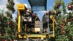 USApple Joins Ag Groups, Calls for State Department to Expedite Ag Worker Visas