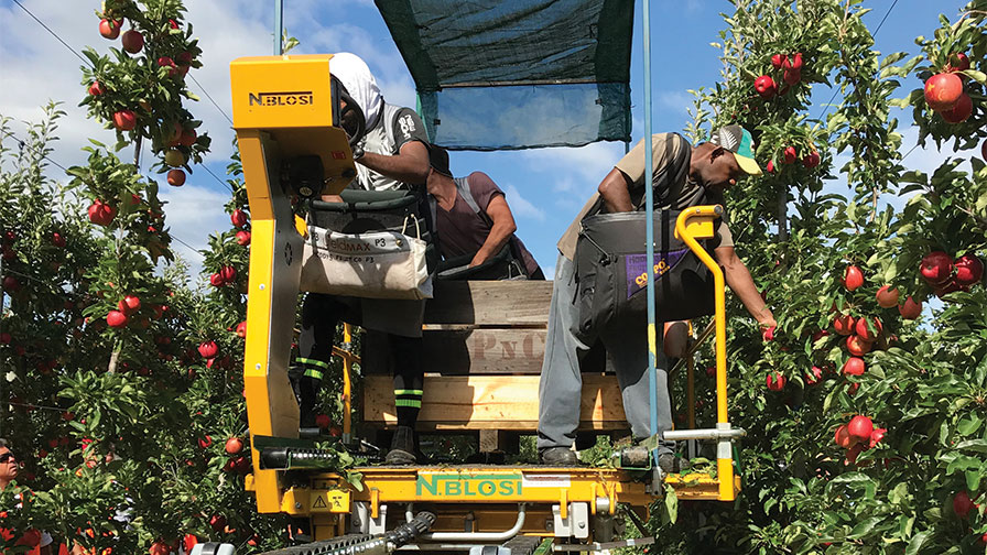 USApple Joins Ag Groups, Calls for State Department to Expedite Ag Worker Visas