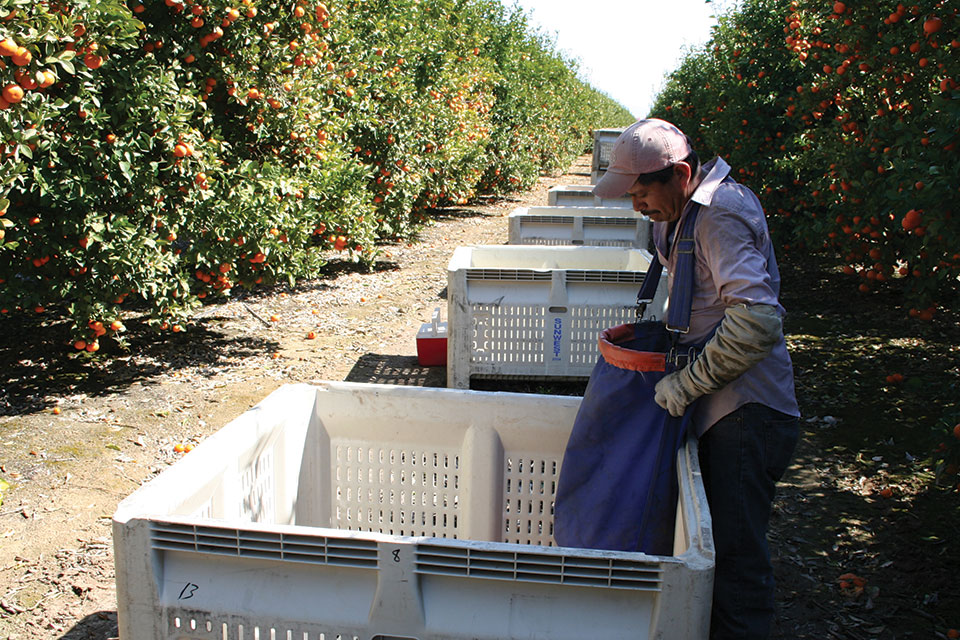Support of Center for Produce Safety Research Quest Continues To Grow