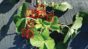 Unique Ag Tech Startup Aims To Make Crop Production Easier