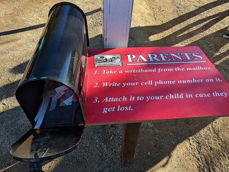 Offer lost child tags at big events.