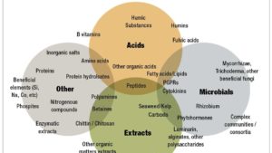 Biostimulants Gaining Ground With More Growers