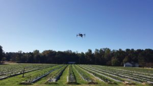 How High-Flying Technology Can Be a Game-Changer for Berries