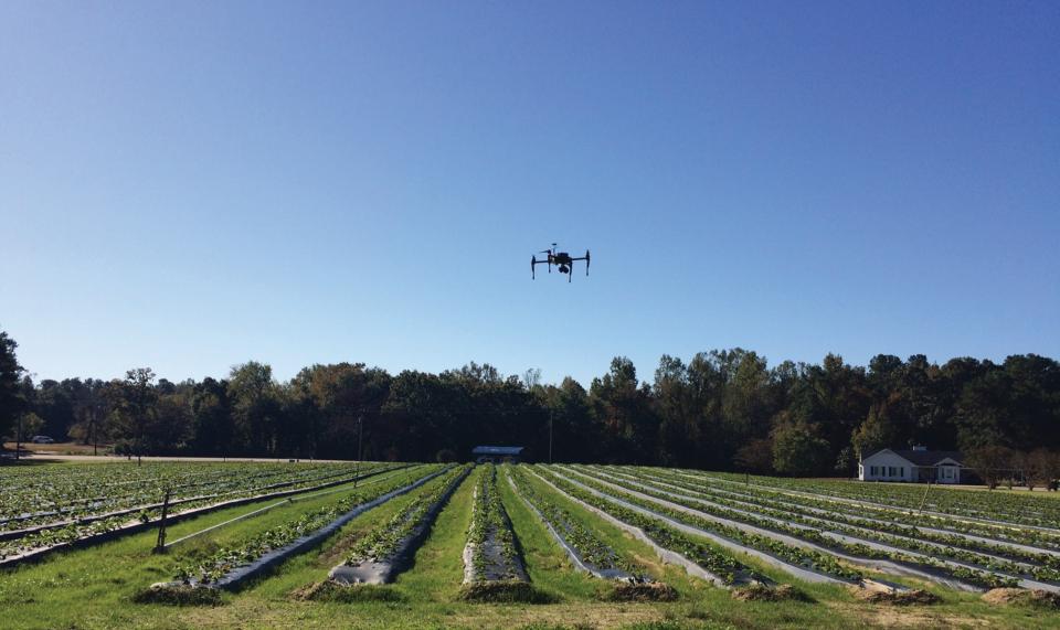 How High-Flying Technology Can Be a Game-Changer for Berries