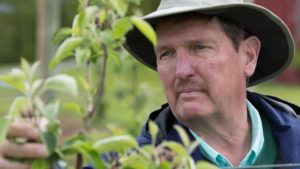 Pennsylvania Tree Fruit Specialist Wins Outstanding Honor