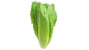 It’s Confirmed. Romaine Took a Hit in 2018 [Opinion]