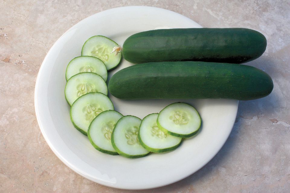 15 Great Cucumbers You’ll Want to Grow