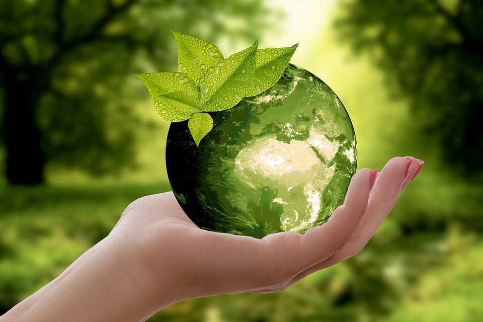 Produce Industry Suppliers: Expect Climate Change, Sustainability Issues To Carry Into New Year