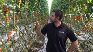 Advice to Attract More Young Growers to the Farm