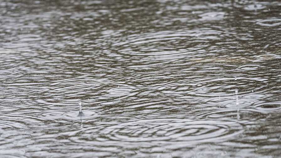 Wet Season off to an Early Start in Florida