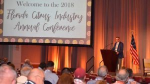 Florida Citrus Growers Happy to Put Hurricane Irma in Rear View