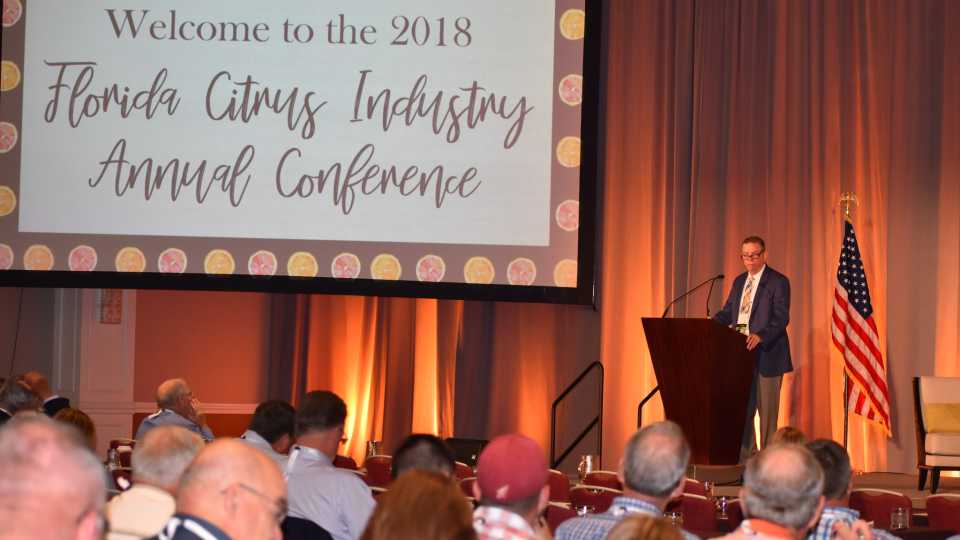 Florida Citrus Growers Happy to Put Hurricane Irma in Rear View