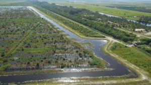 Clean Water is Worth the Fight for Florida Farmers