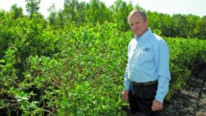 Here Are Florida’s 2023 Agricultural-Environmental Leadership Award Winners