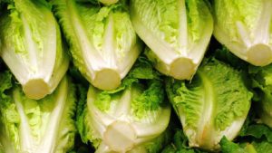 Fallout Continues in Wake of Latest Romaine Recall