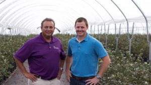 Blueberry Market Sweet Spot in Reach With Help of High Tunnels