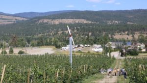 How an Ambitious Cherry Grower Chases Late-Season Returns