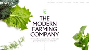 Want to Build Your Farm Brand? Plot How You Can Get TV Exposure