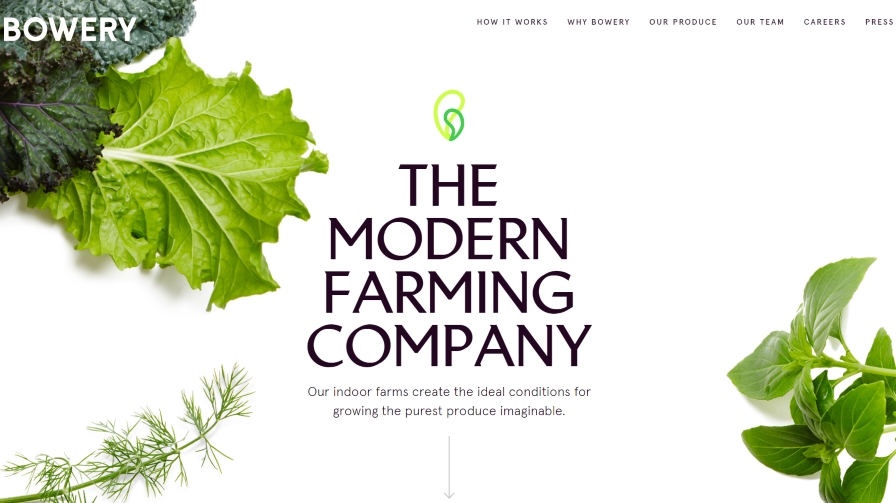 Want to Build Your Farm Brand? Plot How You Can Get TV Exposure