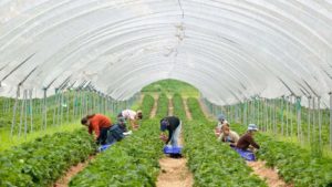 What to Do If a Food Industry Worker Tests Positive for COVID-19